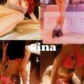 Vivi und Gina. Angebote Sie sucht...